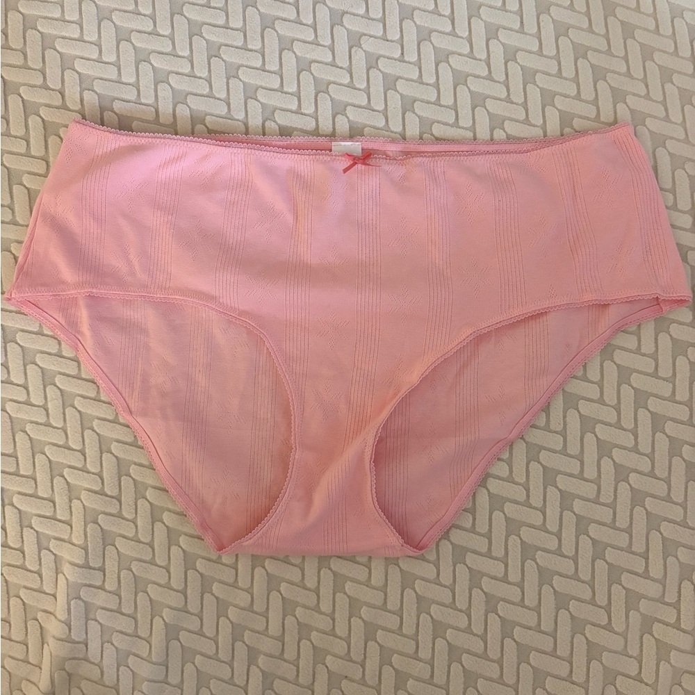 Aerie Woman’s Pink High-Waisted Briefs NWT